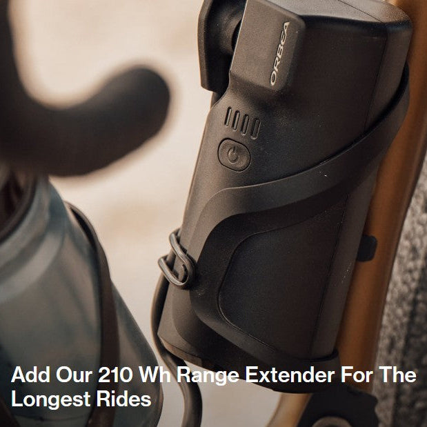 Orbea Denna M40 2025 45 km/t Large Custom model