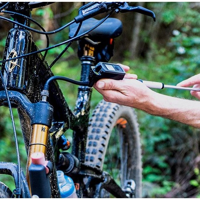 Blackburn Honest Digital Shock