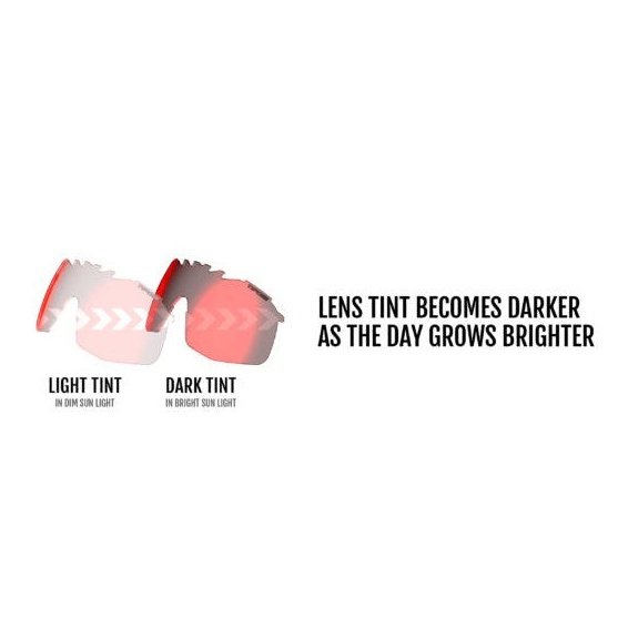 Tifosi Slegde Lite Clarion Red Fototec Cykelbrille