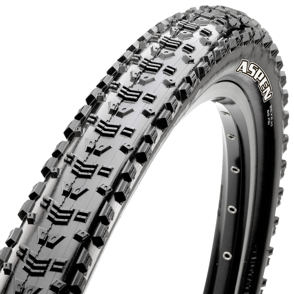 Maxxis Aspen 29X2,40 WT EXO TR