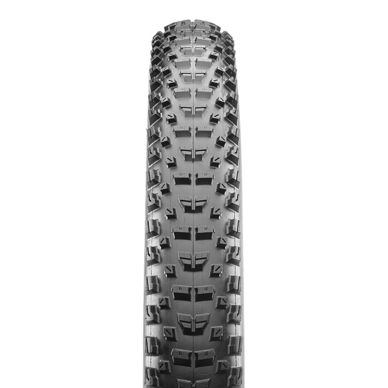 Maxxis Rekon Race 29x2,35 EXO/TR