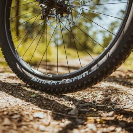 Schwalbe Smart Sam ADDIX Compound Cykeldæk Flere Varianter