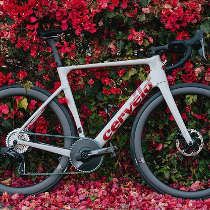 Cervélo Soloist Force AXS X1 2025 Dried Amaranth