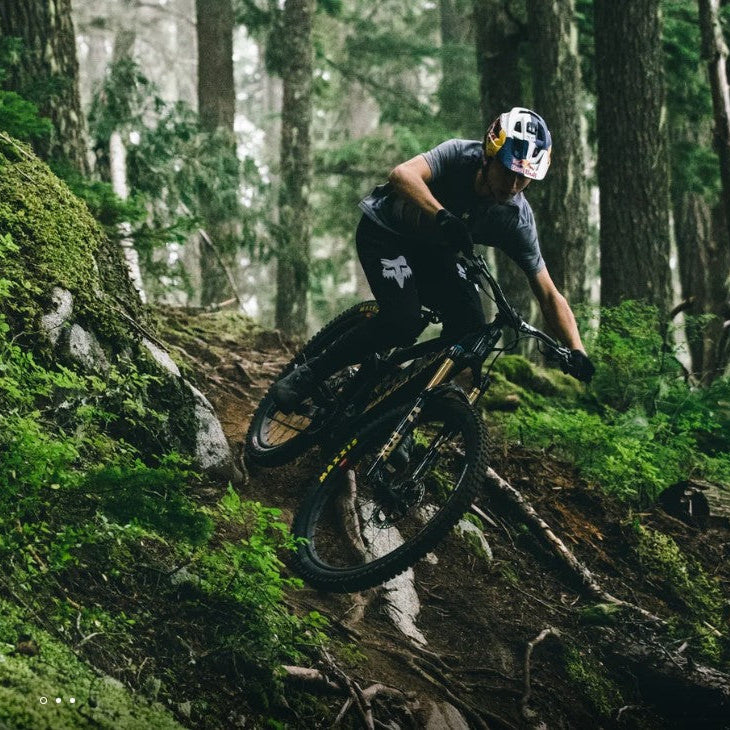 Santa Cruz Vala R Flere Varianter